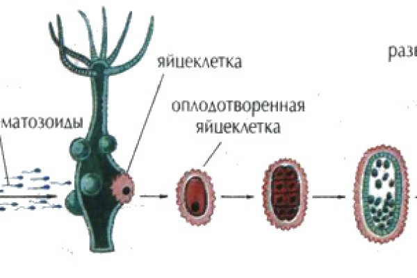 Кракен сообщество