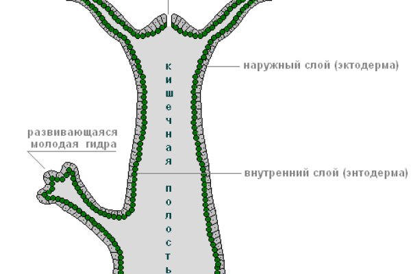 Ссылки на сайты даркнета