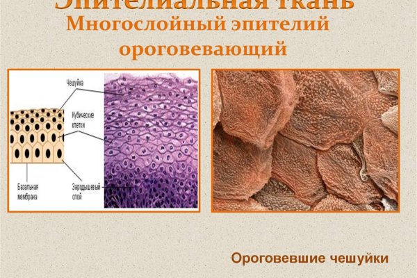 Актуальная ссылка на кракен