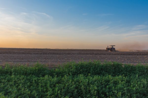 Влияние закиси азота на климат: причины и последствия