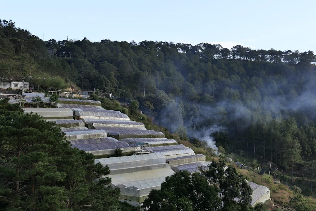 Влияние закиси азота на климат: причины, последствия и пути решения