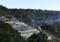 Влияние закиси азота на климат: причины, последствия и пути решения