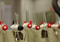 Безопасность использования закиси азота (N2O): что нужно знать