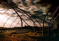 Воздействие закиси азота на климат: глобальные последствия