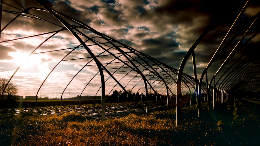 Воздействие закиси азота на климат: глобальные последствия