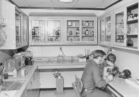 История закиси азота: от открытия до современного применения