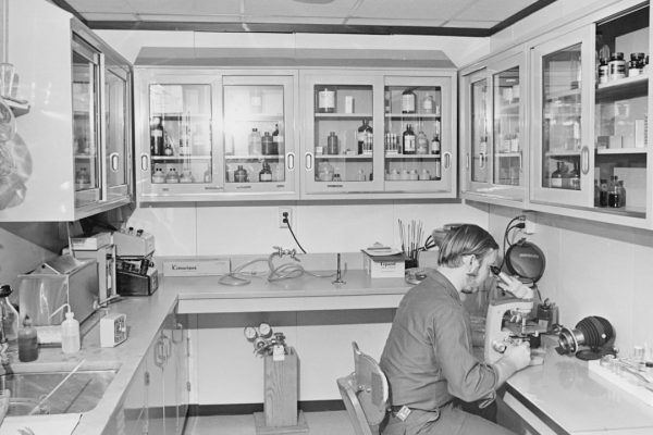 История закиси азота: от открытия до современного применения