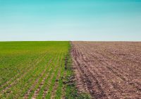 Влияние закиси азота на климат: причины и последствия